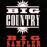 BIG COUNTRY - The one i love PROMO CD
